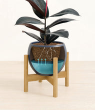 Load image into Gallery viewer, Deep Navy stand:bamboo