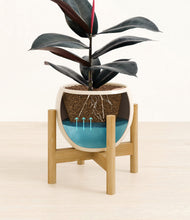 Load image into Gallery viewer, Shiny EggWhite stand:bamboo