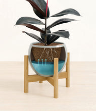 Load image into Gallery viewer, Deep Ocean stand:bamboo