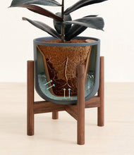 Load image into Gallery viewer, Iron Gray stand:walnut