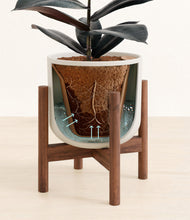 Load image into Gallery viewer, Natural Bamboo stand:walnut