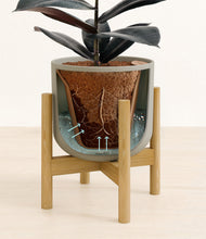 Load image into Gallery viewer, Sage Green stand:bamboo