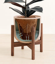 Load image into Gallery viewer, Sandy Pink stand:walnut