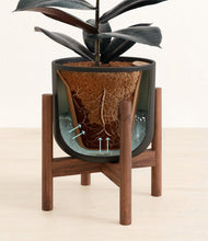 Load image into Gallery viewer, Stone Black stand:walnut