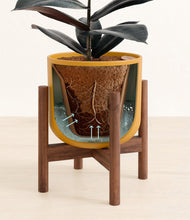 Load image into Gallery viewer, Sunset Orange stand:walnut