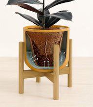 Load image into Gallery viewer, Sunset Orange stand:bamboo