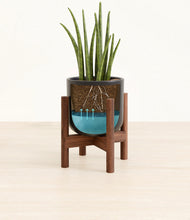 Load image into Gallery viewer, Stone Black stand:walnut