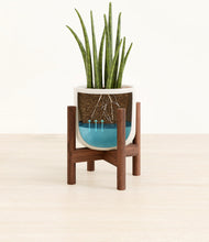 Load image into Gallery viewer, Cotton White stand:walnut