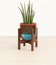 Load image into Gallery viewer, Glossy Red stand:walnut