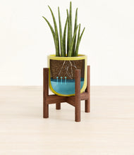 Load image into Gallery viewer, Key Lime Yellow stand:walnut