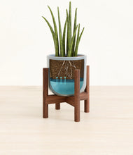 Load image into Gallery viewer, Misty Blue stand:walnut