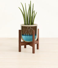 Load image into Gallery viewer, Sage Green stand:walnut