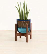 Load image into Gallery viewer, Twilight Blue stand:walnut