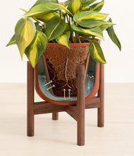 Load image into Gallery viewer, Earth Red stand:walnut