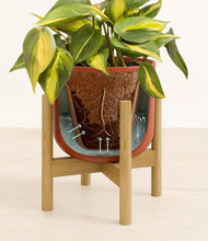 Load image into Gallery viewer, Earth Red stand:bamboo