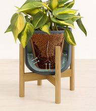 Load image into Gallery viewer, Iron Gray stand:bamboo