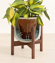 Load image into Gallery viewer, Natural Bamboo stand:walnut