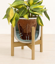 Load image into Gallery viewer, Natural Bamboo stand:bamboo