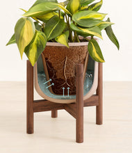 Load image into Gallery viewer, Sandy Pink stand:walnut