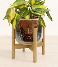 Load image into Gallery viewer, Sandy Pink stand:bamboo