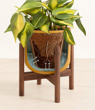 Load image into Gallery viewer, Sunset Orange stand:walnut