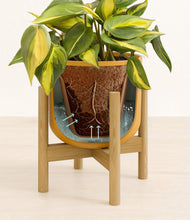 Load image into Gallery viewer, Sunset Orange stand:bamboo