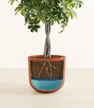 Load image into Gallery viewer, Earth Red