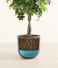 Load image into Gallery viewer, Iron Gray