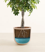 Load image into Gallery viewer, Sandy Pink