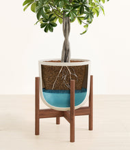 Load image into Gallery viewer, Natural Bamboo stand:walnut
