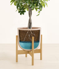 Load image into Gallery viewer, Sandy Pink stand:bamboo