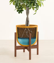 Load image into Gallery viewer, Sunset Orange stand:walnut