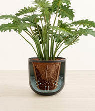 Load image into Gallery viewer, Sage Green stand:all