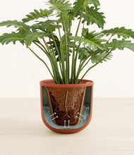 Load image into Gallery viewer, Earth Red stand:all