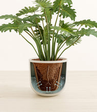 Load image into Gallery viewer, Sandy Pink stand:all