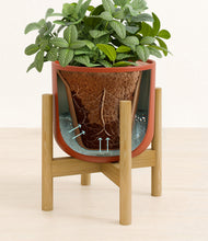 Load image into Gallery viewer, Earth Red stand:bamboo