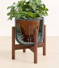 Load image into Gallery viewer, Iron Gray stand:walnut