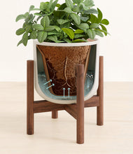 Load image into Gallery viewer, Natural Bamboo stand:walnut