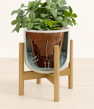 Load image into Gallery viewer, Natural Bamboo stand:bamboo