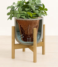 Load image into Gallery viewer, Sage Green stand:bamboo