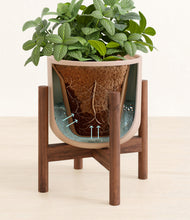 Load image into Gallery viewer, Sandy Pink stand:walnut