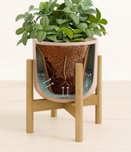 Load image into Gallery viewer, Sandy Pink stand:bamboo