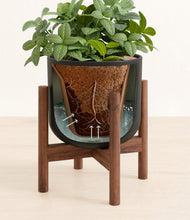 Load image into Gallery viewer, Stone Black stand:walnut