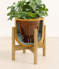 Load image into Gallery viewer, Sunset Orange stand:bamboo