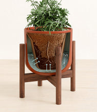 Load image into Gallery viewer, Earth Red stand:walnut