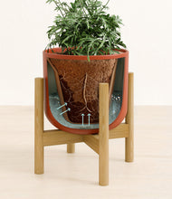 Load image into Gallery viewer, Earth Red stand:bamboo