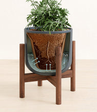 Load image into Gallery viewer, Iron Gray stand:walnut