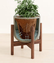 Load image into Gallery viewer, Sage Green stand:walnut