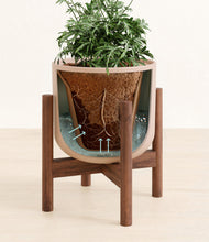 Load image into Gallery viewer, Sandy Pink stand:walnut