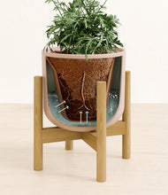 Load image into Gallery viewer, Sandy Pink stand:bamboo